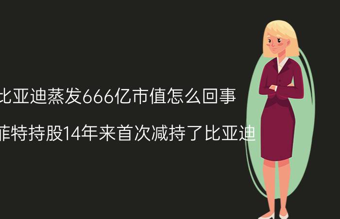 比亚迪蒸发666亿市值怎么回事 巴菲特持股14年来首次减持了比亚迪